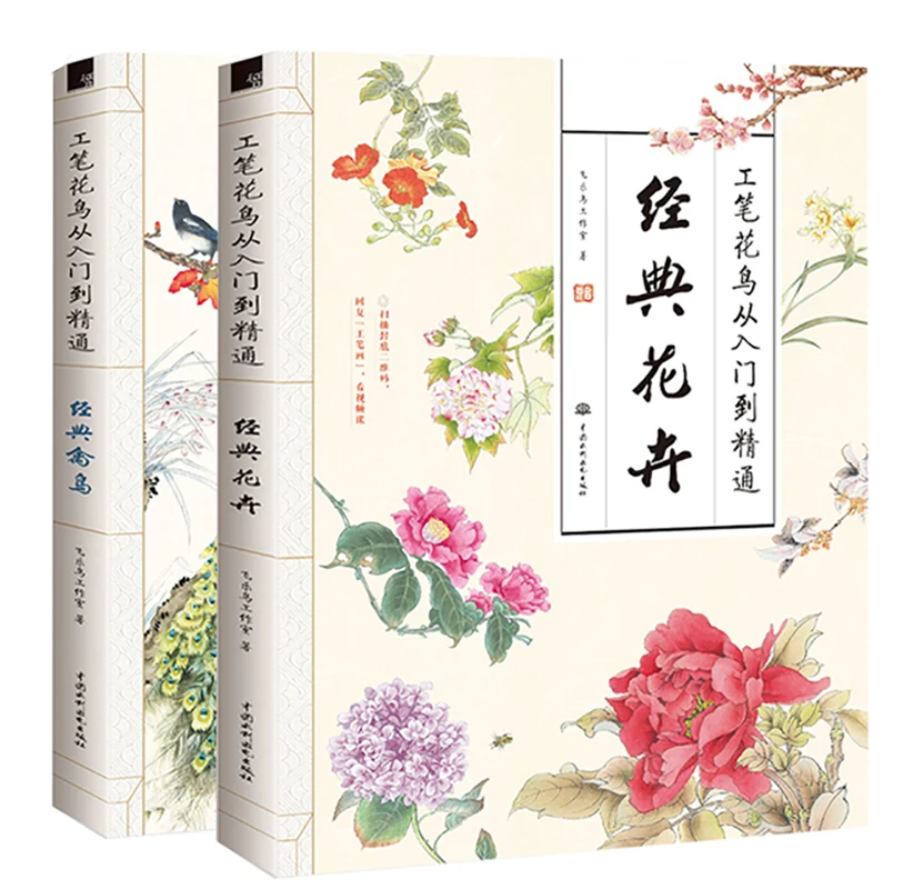 mais-novo-2-pcs-set-meticuloso-flores-e-passaros-de-entrada-para-mestre-iniciante-chines-pintura-nocoes-basicas-livro