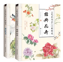 Livre de base de peinture chinoise pour débutant, 2 pièces/ensemble fleurs et oiseaux méticuleux, de l'entrée au maître, le plus récent 