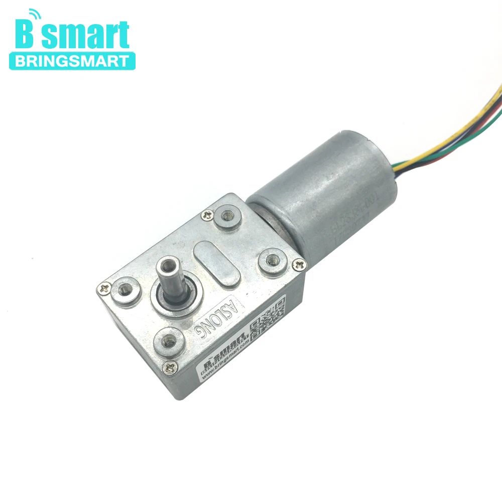 

Bringsmart JGY-2838 Worm Gear Motor 12V High Torque Brushless DC Motor 24V Mini Motor Built-in Driver Reversed Self-lock Gearbox