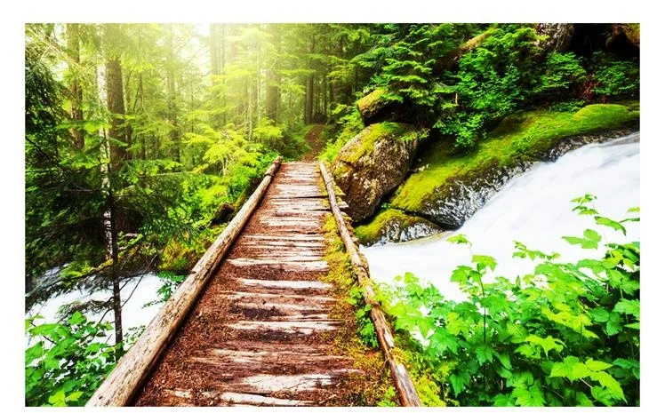 5992618aaf418974a258b930-2-original