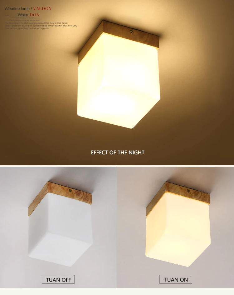 Ceiling Light Fixtures (6)