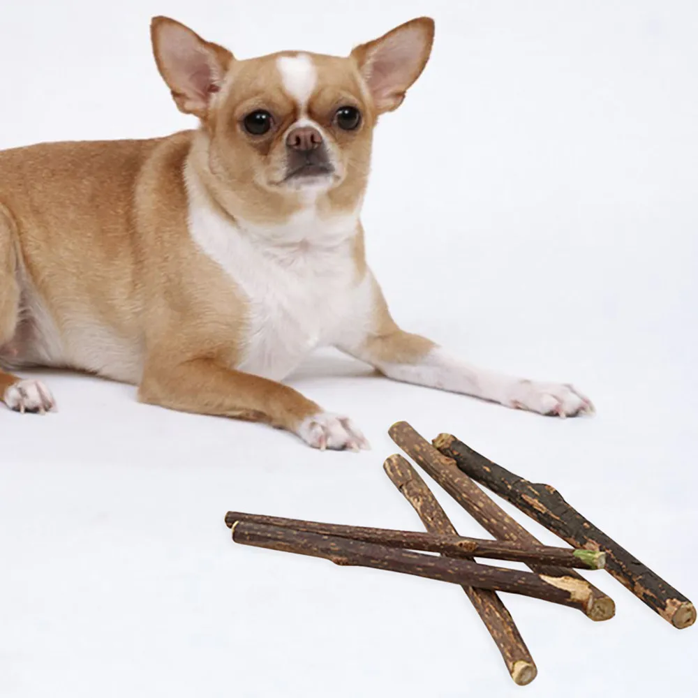 

10Pcs/Set Pet Dog Cat Chew Sticks Apple Wood Twigs for Small Pets Rabbit Hamster Guinea Pig Parrot Dogs Accessories F425