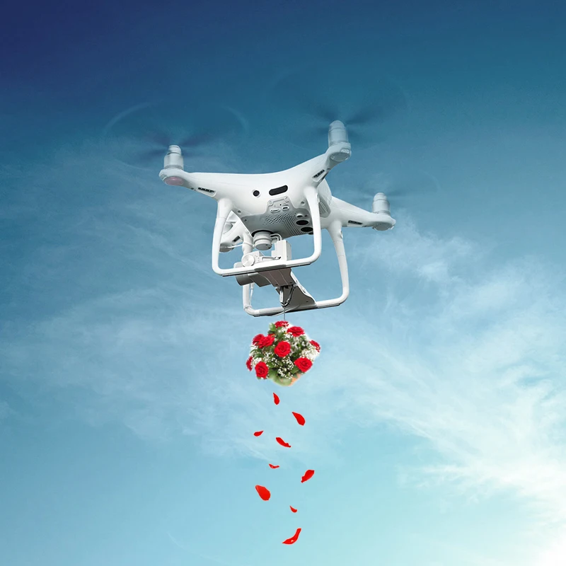 

PGYTECH Remote Parabolic Air-Dropping Holder Mount for DJI Phantom 4 pro/Obsidian/v2.0/4 Advanced Delivery Scatter flowers