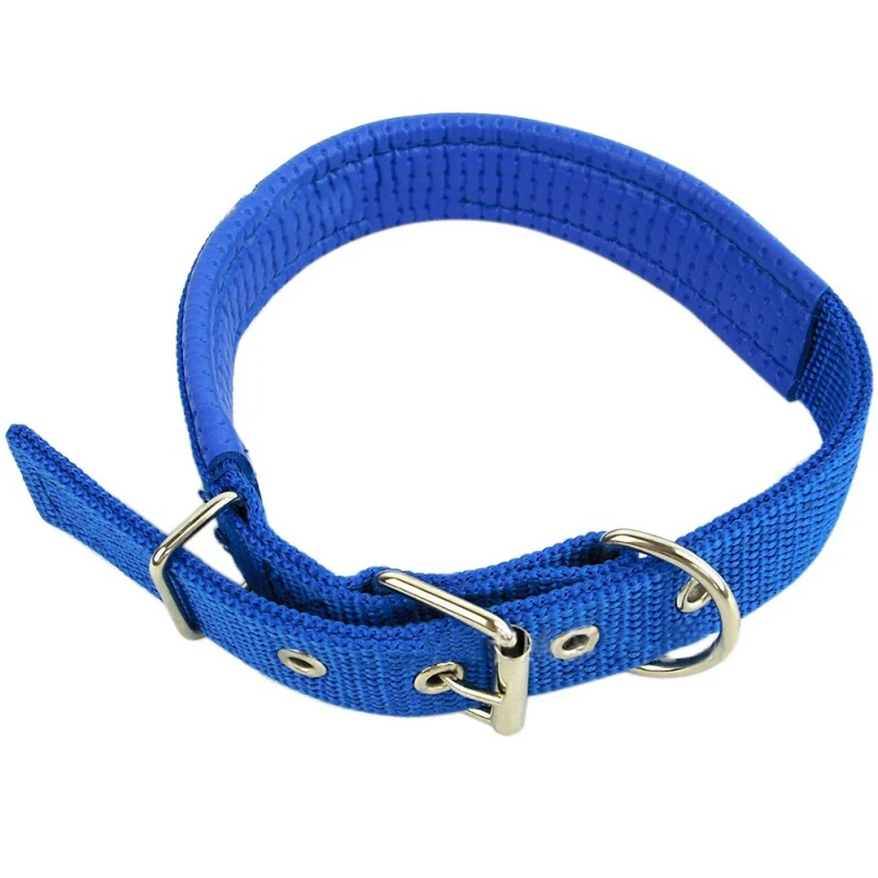 Buy Nylon Padded Dog Pet Collars Neck Protection Safe