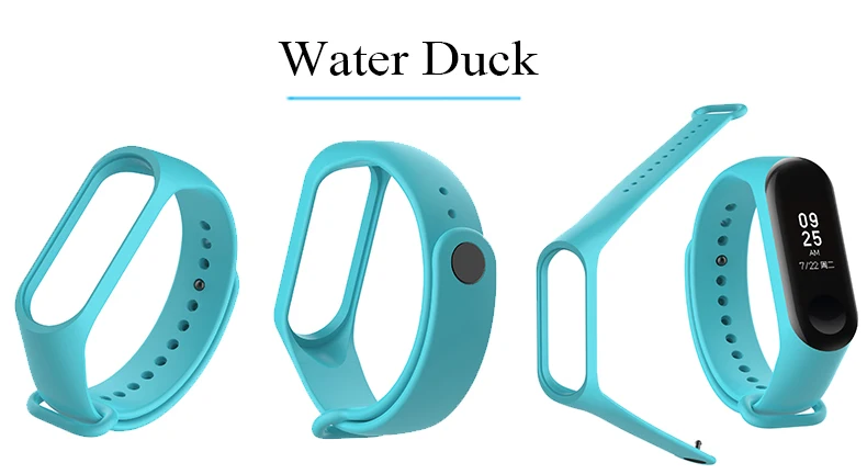 water duck
