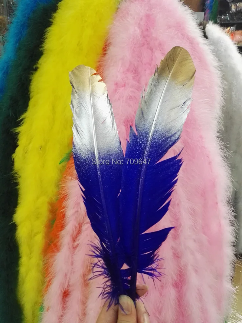 FMT0033 (5)