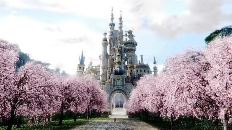 

MEHOFOTO 450x300cm Thin vinyl Photography backgrounds for photo Studio / Digital printed castle Backdrops j0127