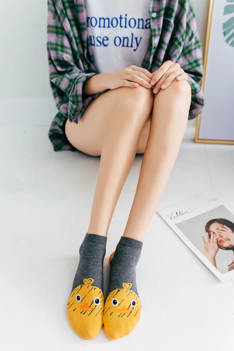 9125187419_650976612