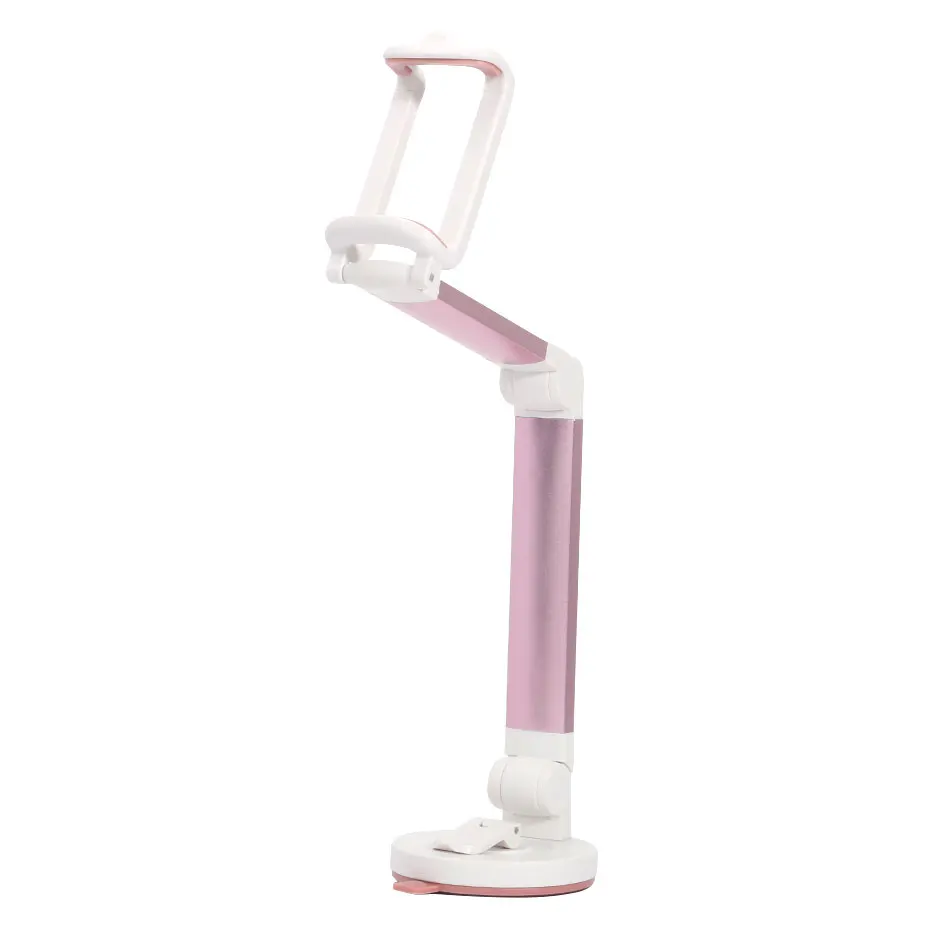 Suction Cup Car Mount Holder (8)