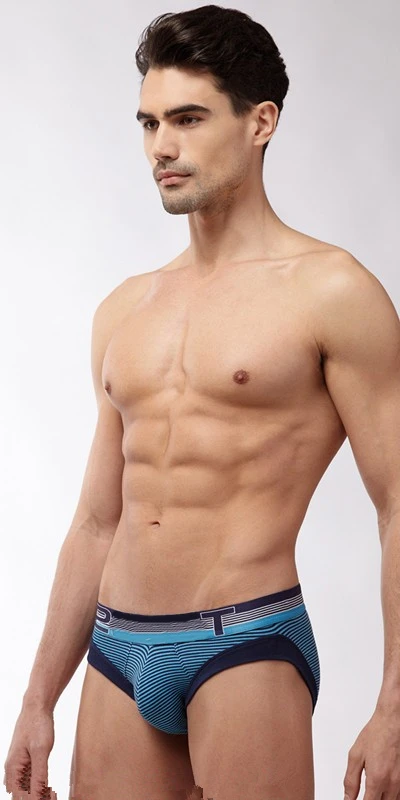 Free Shipping  Male Panties Sail Sculpted Cotton Briefs Men's Underwears 3