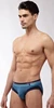 Free Shipping  Male Panties Sail Sculpted Cotton Briefs Men's Underwears 3