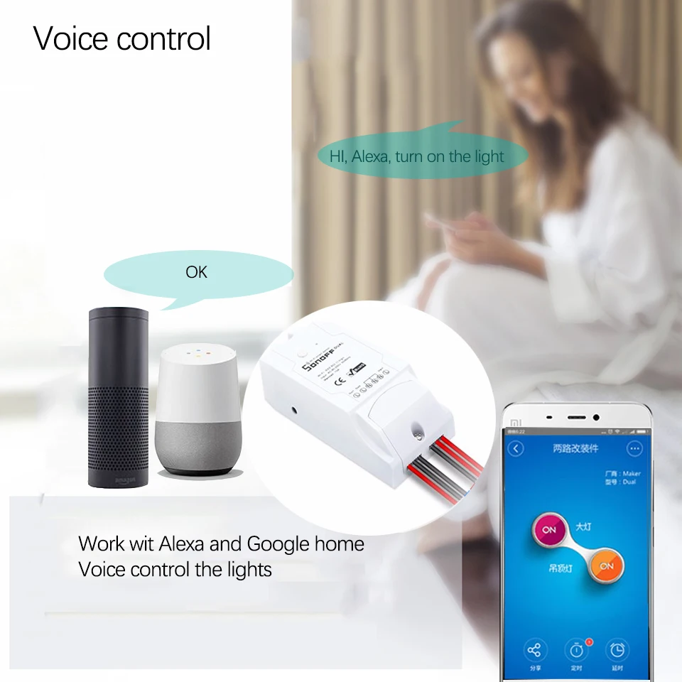 Voice control alexa google home 2ch switch 