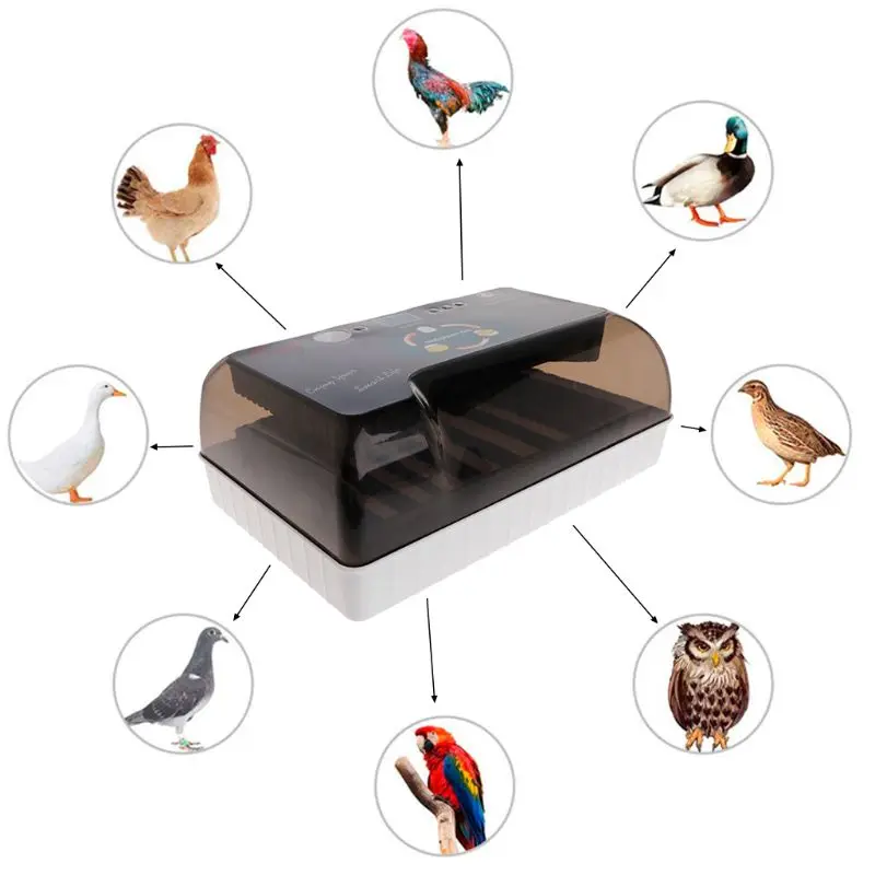 Egg Incubator Farm Hatching Device Machine Agriculture Hatcher 220V Mini Universal Professional LED Supplies EU For Chicken Duck Egg Incubator Farm Hatching Device Machine Agriculture Hatcher 220V Mini Universal Professional LED Supplies EU For Chicken Duck