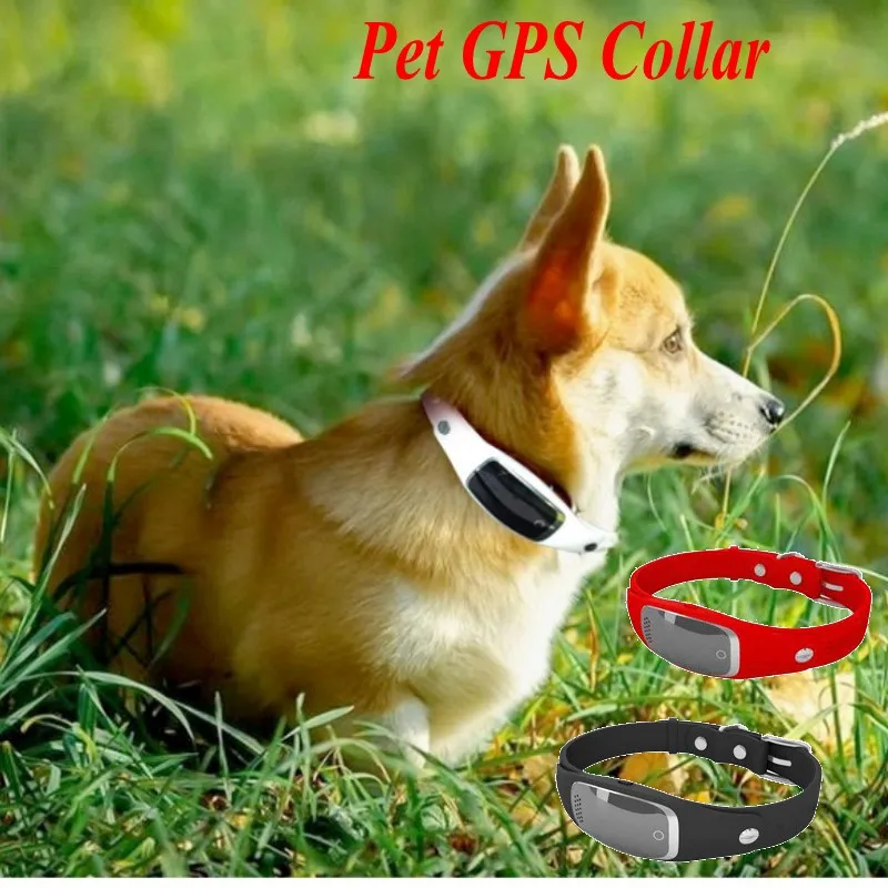 S1 Pet gps воротник Мини Водонепроницаемый ошейник для домашних животных трекер LBS +