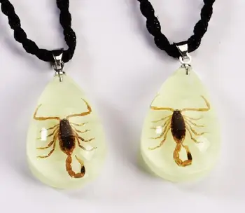 

Free Shipping 10 Pcs Yqtdmy nice jewelry real scorpion glow in dark Pendant
