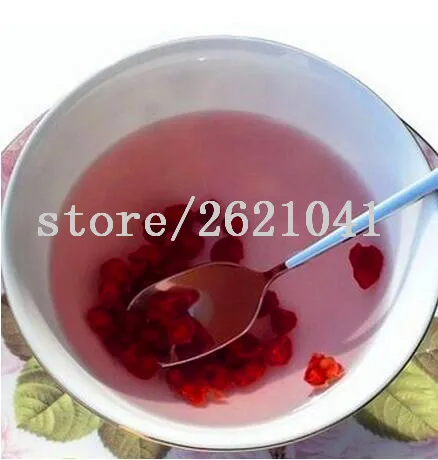 

100 pcs schisandra, tree fruit bonasi tree for DIY Home Garden Plant Chinese Magnolia Vine Edible Fruit