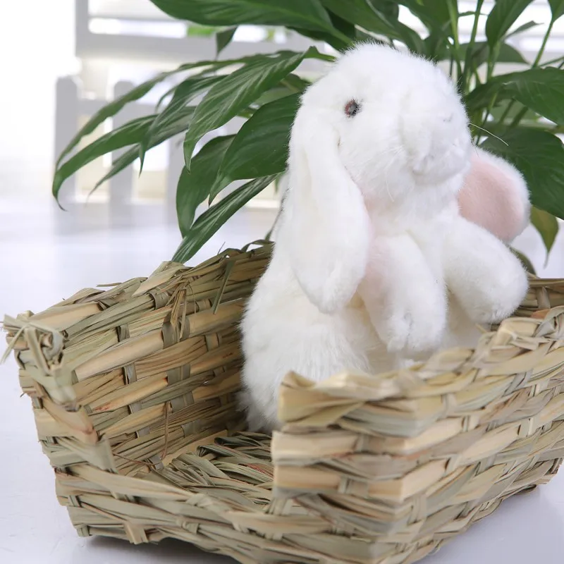  23*18*8.5cmatural Bed and Grassest for Guinea Pigs Chinchillas and Rabbits Small Pets Hamster Chew 