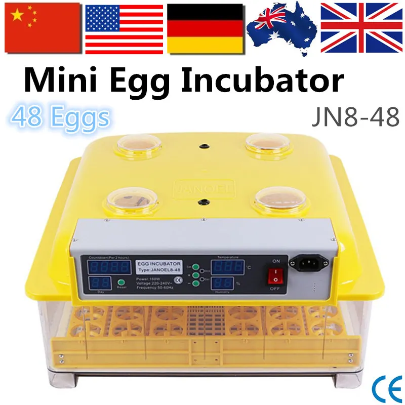 Brand Top Selling Quail Eggs Incubators Best Price for Chicken Egg Incubator for Hot Selling JN8