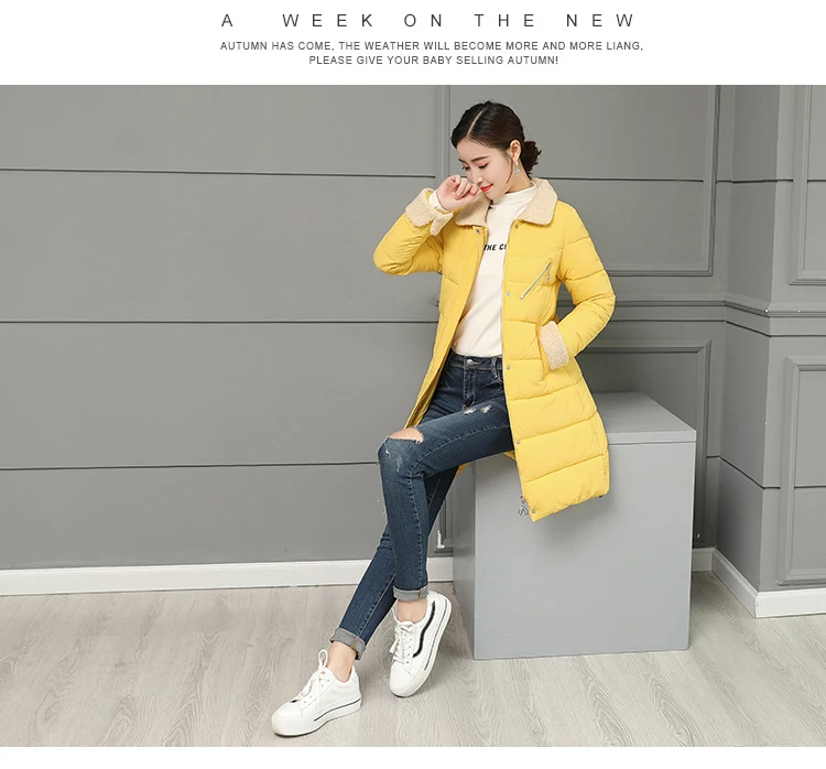 Women Jacket Winter Coats Long Outwear Jackets Cotton Padded Clothing Zipper Warm Winter Jacket 2018 Korean Ladies Coat CH642 (12)