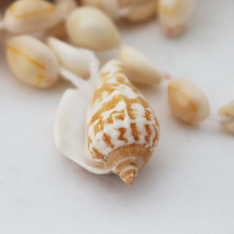 

Natural Seashell Conch Pendant Necklace Bohemia vacation wind sea shell choker for women girls rope chain long statement ecklace