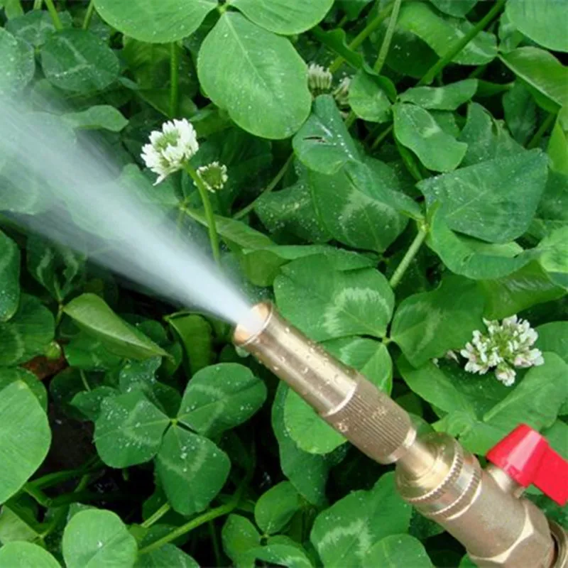 Buy WCIC Brass Garden Nozzle Irrigation Spray Plants