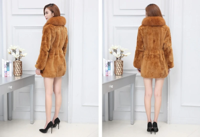 conew_qq20190306151918
