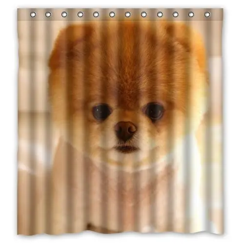 

Aplysia Cute Pomeranian Dog Personalized Custom 66" x 72" Waterproof Polyester Fabric Shower Curtain