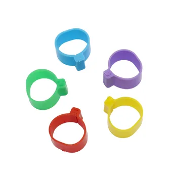 

200 Pcs Chicken Rings Poultry Foot Ring Inner Diameter 1.6cm Pheasant Duck Bird Poultry Feeding Tool