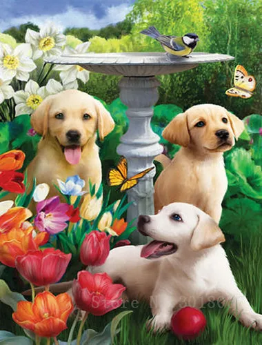 

Diamant Diy 5D Diamond Painting Cross Stitch Three Dogs In The Flowers Needlework 3D Diamond Embroidery Full Diamond Decorative