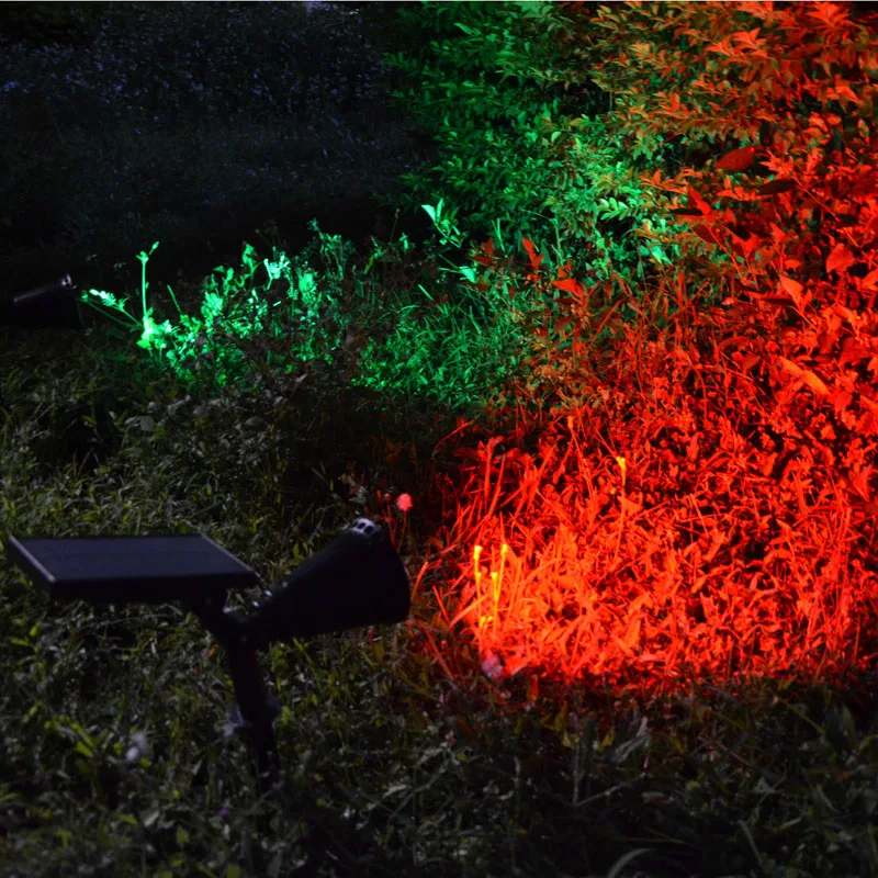 4071506575_2025557218