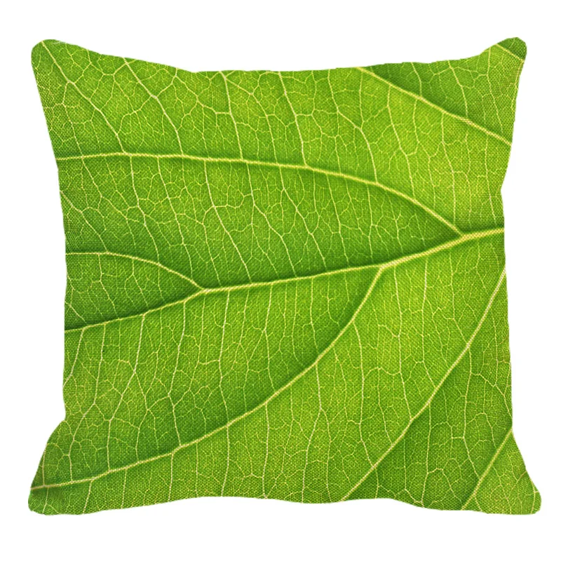 sdfsdfsefs
