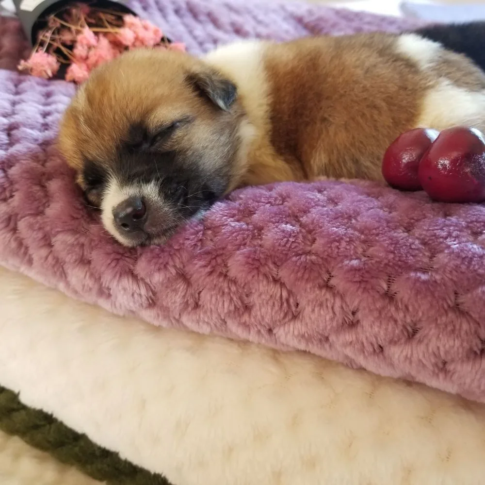 

winter fluffy pineapple waffle grain flanel cozy photo posing baby blanket, kids bedding quilt,sofa backseat cover,pet blanket