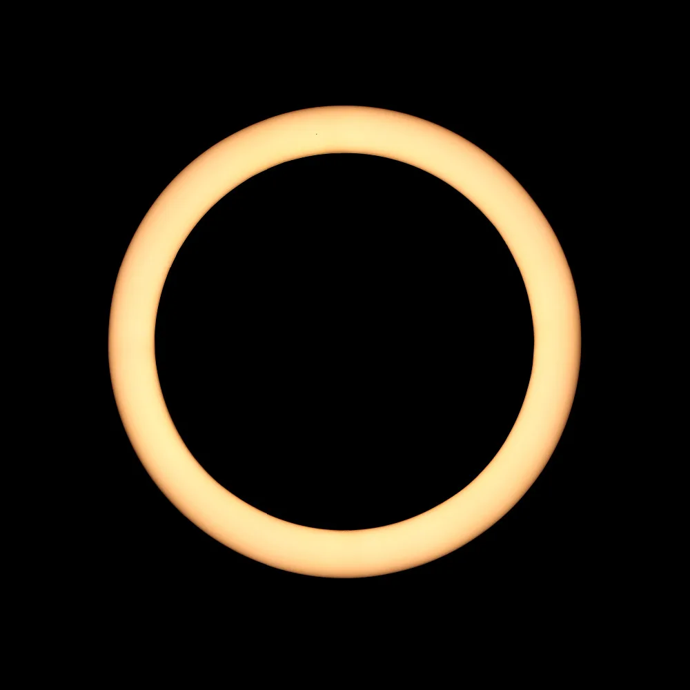 1A3A8404