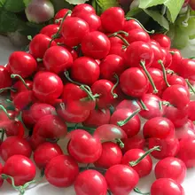 50 шт/партия Мини поддельные пластиковые фрукты маленькие ягоды искусственный цветок красная вишня Stamen перламутровые Свадебные Рождественские декоративные