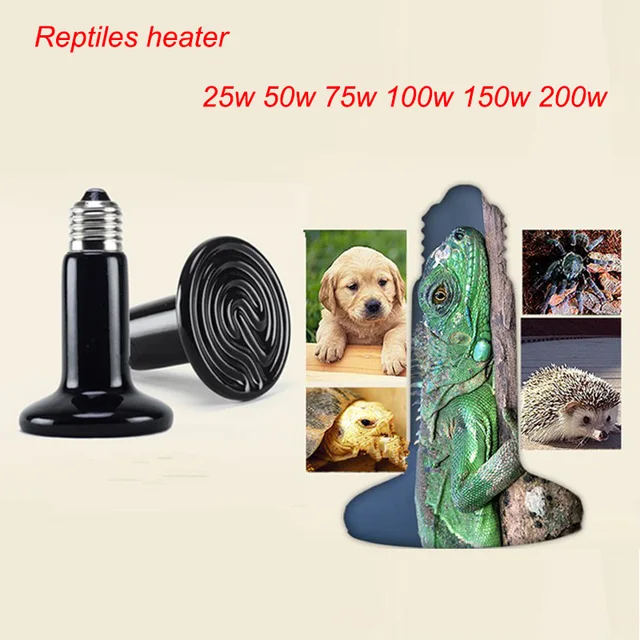 Buy Far Infrared Ceramic Heater Pet Snake Tortoises