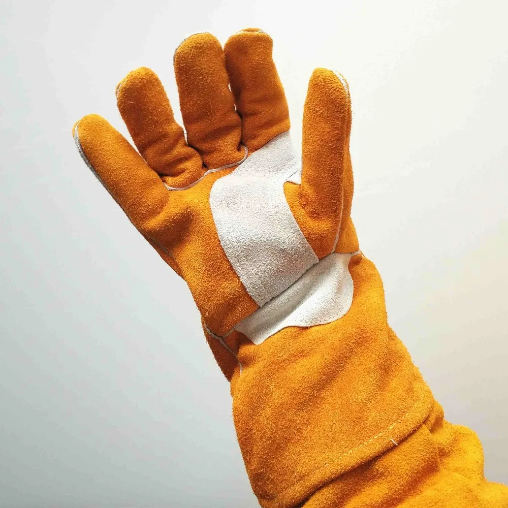 IMG_20171102_150334_