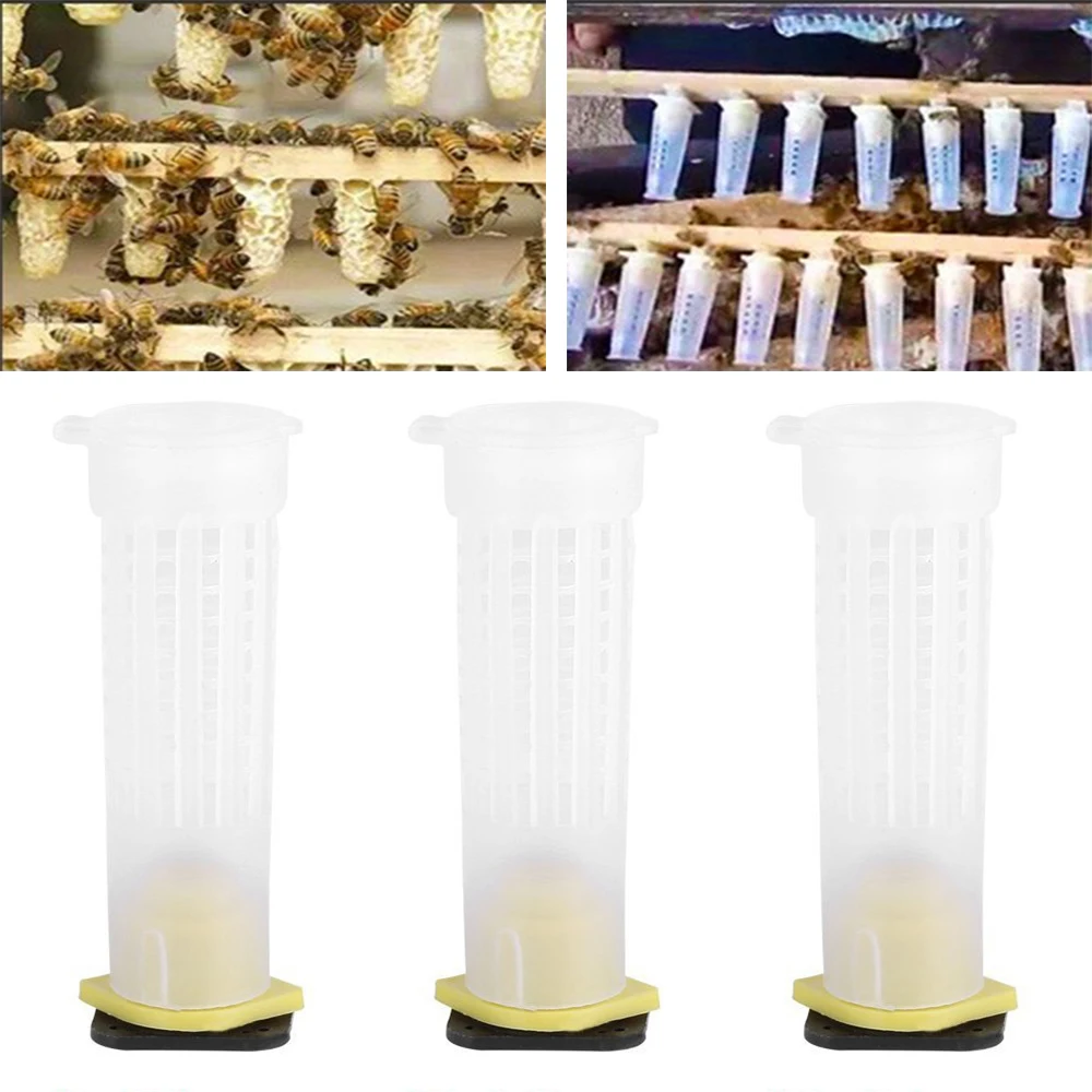 50PCS bee queen cages plastic protective cover cage cell box cup rearing new bees king tools beekeeper beekeeping set beekeeping