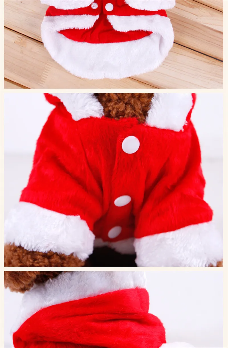 bow pet cloth08