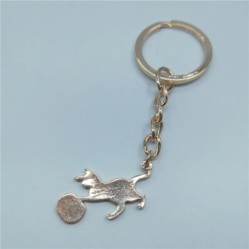 416DF492FBC599434B0F4010932502A5