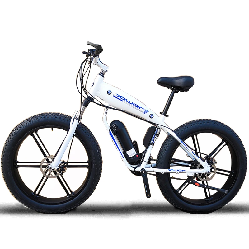 custom fat tire bike