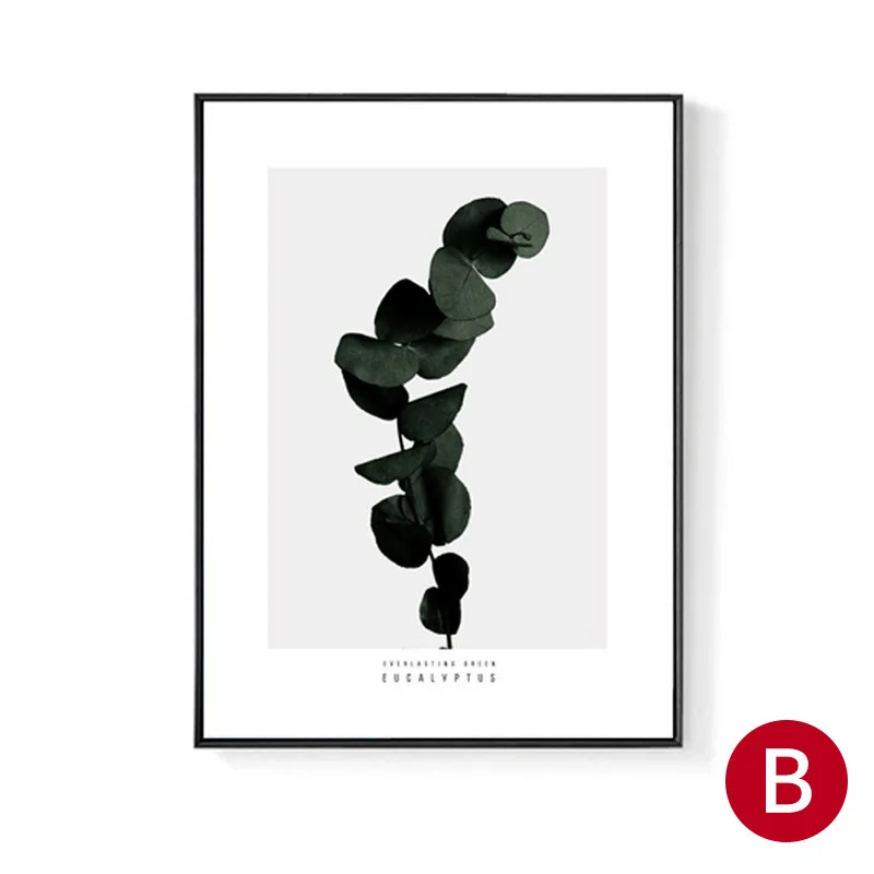 4221736333_1963038775
