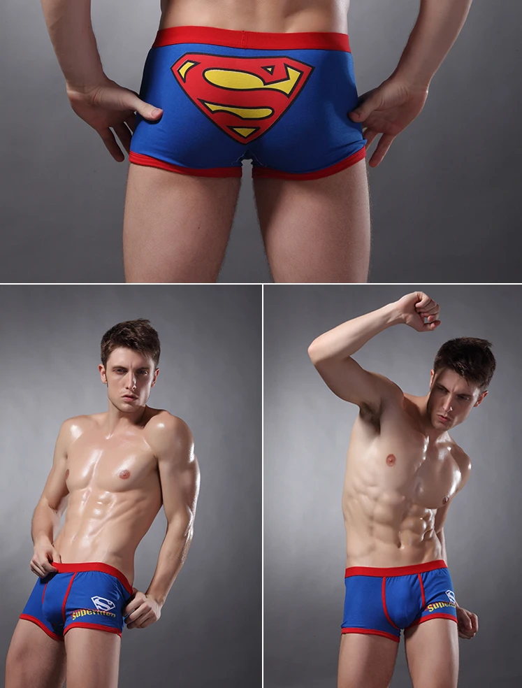 Free Shipping Superman Men's Boxer Shorts male Underwear Boy Retro Hipster Vintage Cool
