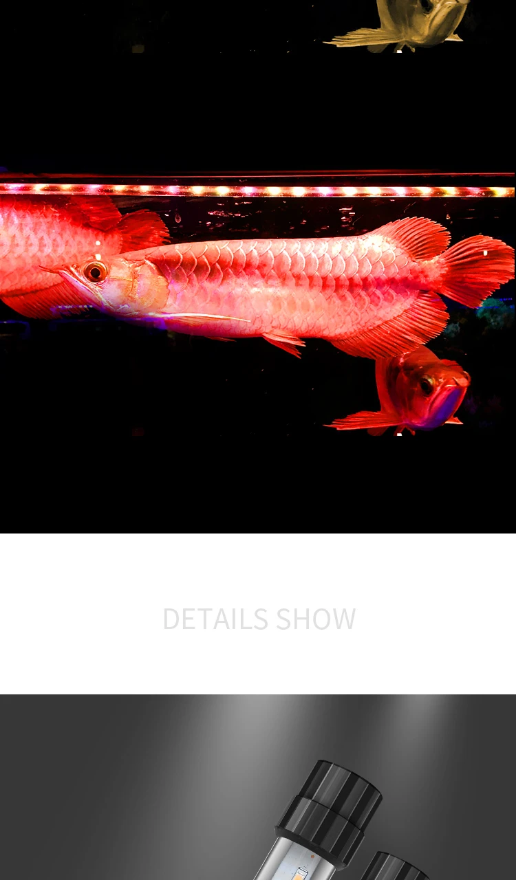 _07
