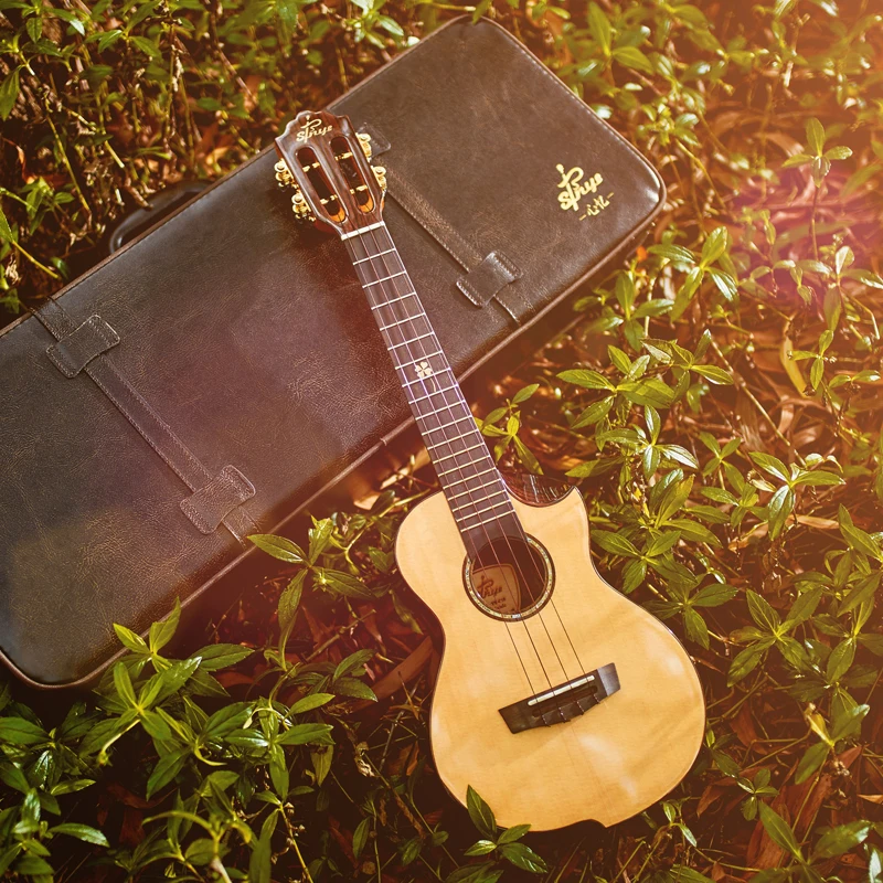 musical instruments