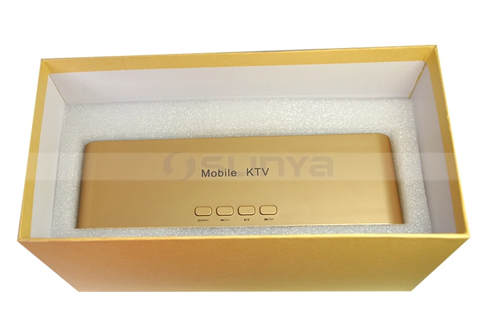 Speaker with wireless microphone 8040170721 (24)