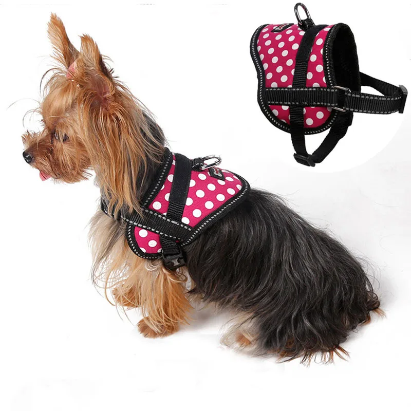 шлейка service dog. шлейка service dog. поводок для йорка. ошейники для собак девочек. поводок рулетка для йоркширских терьеров.