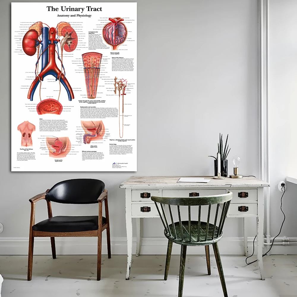 Canvas Print Size Chart