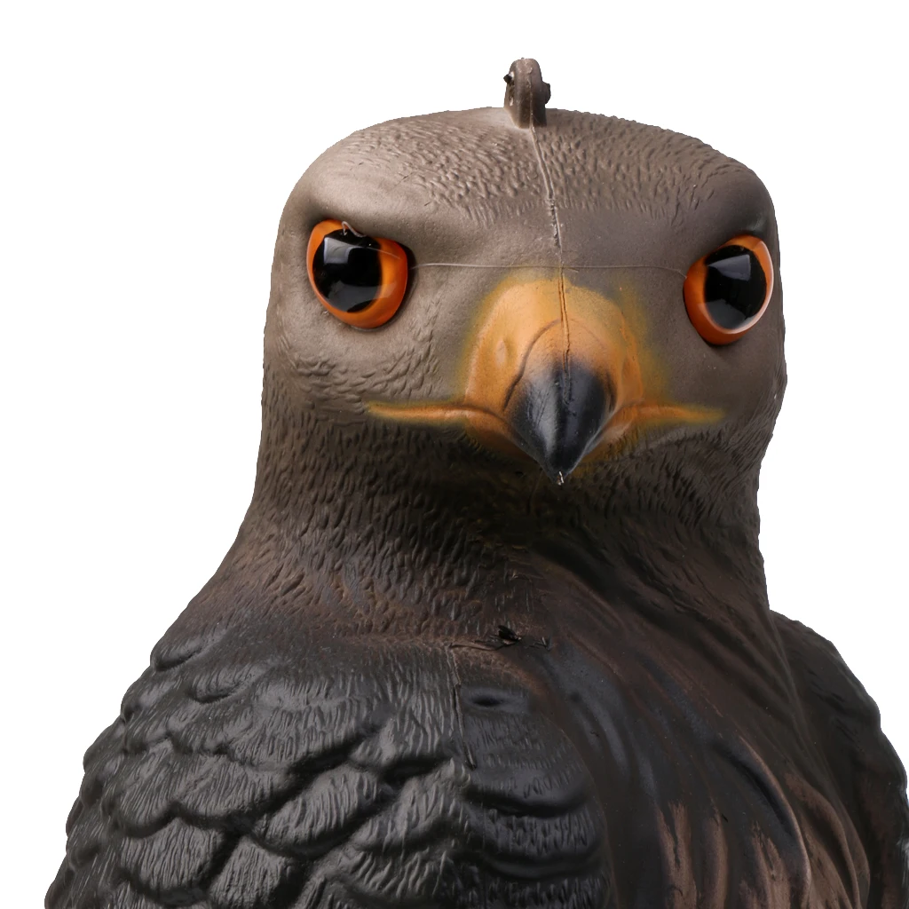 Lifelike 3D Eagle Decoy Garden Flocked Hard Realistic Scarer Scarecrow Hunting Decoy Raven Halloween Prop  