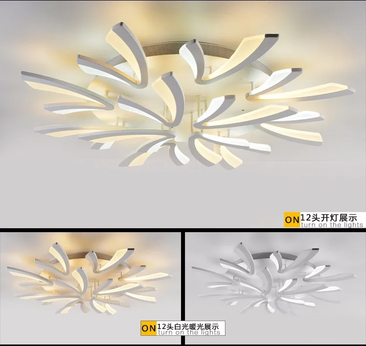 3506463600_1019503663