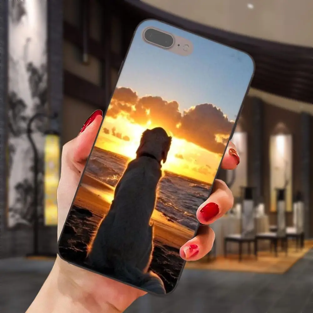 Мягкие чехлы для Samsung Galaxy Note 4 8 9 S3 S4 S5 S6 S7 S8 S9 S10 Edge Plus Lite I9080 G313 золотистый ретривер